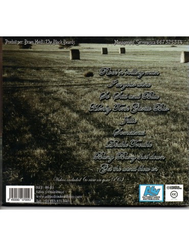 THE BLACK BEARDS-SOUTHERN ACCENTS FOR A ROCK GENERATION