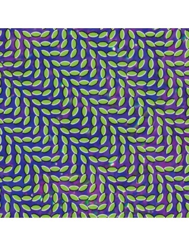 ANIMAL COLLECTIVE -...