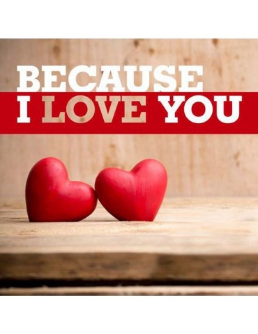 BECAUSE I LOVE YOU - VARIOS...