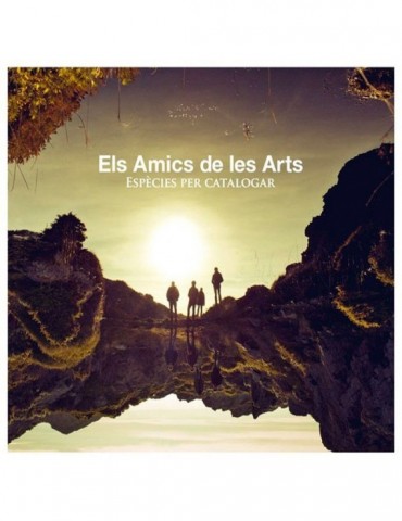 ELS AMICS DE LES ARTS -...