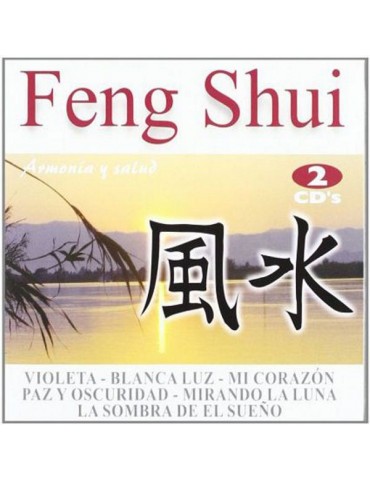 FENG SHUI - A. DEIANIRA - 2CDS