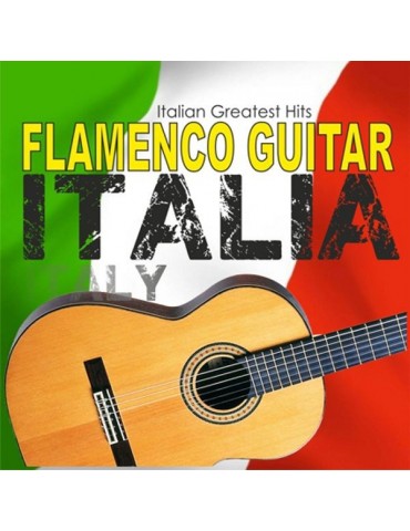 GUITARRA - FLAMENCO GUITAR...