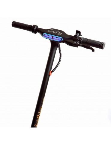 Patinete eléctrico RuedaQRueda G9 City 350W