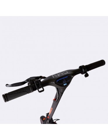 Patinete eléctrico RuedaQRueda G9 City 350W