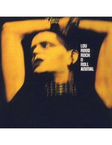 LOU REED - ROCK'N'ROLL...