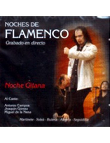 NOCHES DE FLAMENCO - NOCHE...