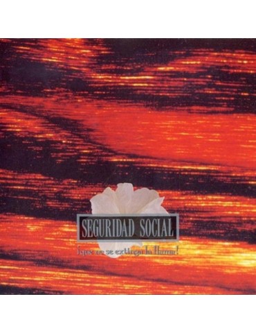 SEGURIDAD SOCIAL - QUE NO...