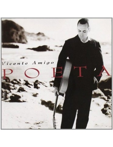 VICENTE AMIGO - POETA
