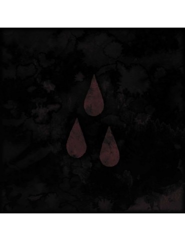 AFI - AFI - THE BLOOD ALBUM...