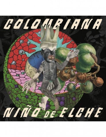 NIÑO DE ELCHE - COLOMBIANA...