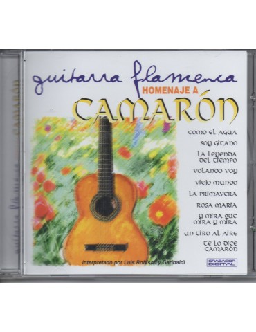 GUITARRA FLAMENCA HOMENAJE A CAMARON