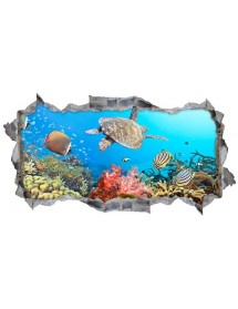 Peces y Tortugas