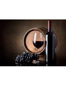 Vinos Tintos