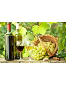 Vinos Blancos