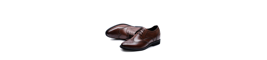 Zapatos de Hombre