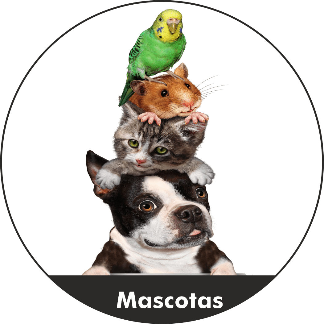 Mascotas